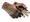 Bronze Morph