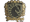 Team Liquid (Gold) | Budapest 2025