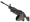 Midnight Palm