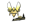 Vitality (Gold) | Stockholm 2021